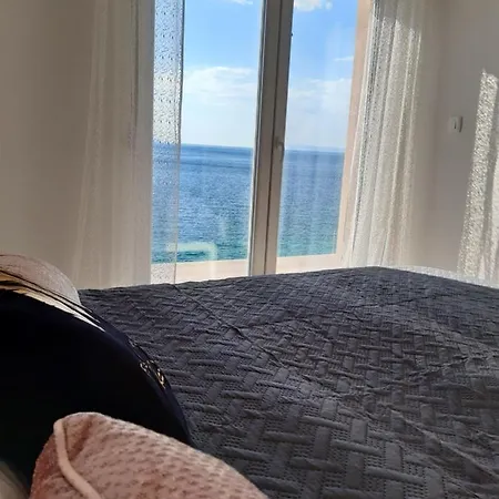 Neda Podaca